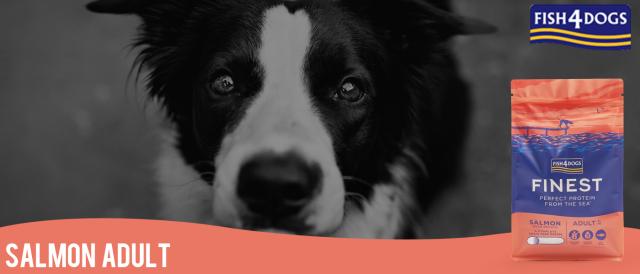 フィッシュ４ドッグ サーモン大粒