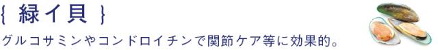 グルコサミンやコンドロイチンが含まれ関節ケア等に効果的な緑イ貝