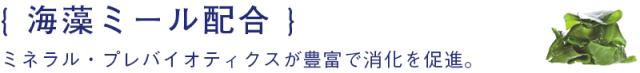 スピルリナ配合。鉄分・抗酸化ビタミンAなどが豊富で免疫力向上。