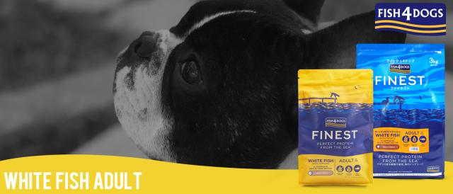フィッシュ４ドッグ　オーシャンホワイトフィッシュ
