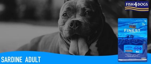 FISH4DOG フィッシュ４ドッグ　サーディン ドライフード