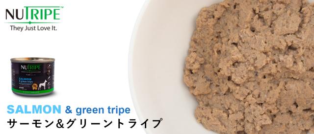 ニュートライプ　フィット　サーモン＆グリーントライプ