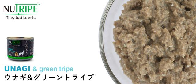 ニュートライプ　ウナギ＆グリーントライプ
