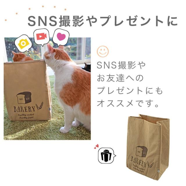 SNS撮影やプレゼントに。