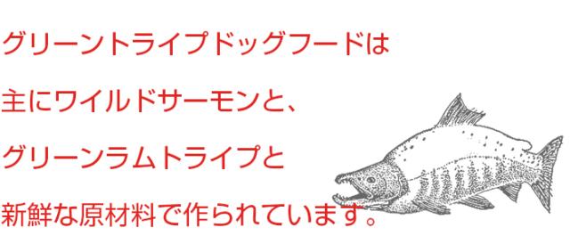 グリーンラムトライプ＆ワイルドサーモンは新鮮で良質なグリーンラムトライプと新鮮なワイルドサーモンを主原料に作られた総合栄養食です。小粒で食べやすく、全犬種・全年齢対応です。