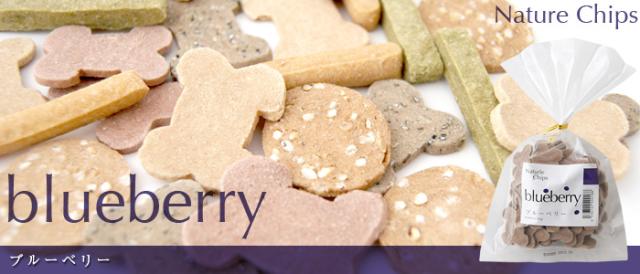 アルビオ ナチュールチップス ブルーベリー