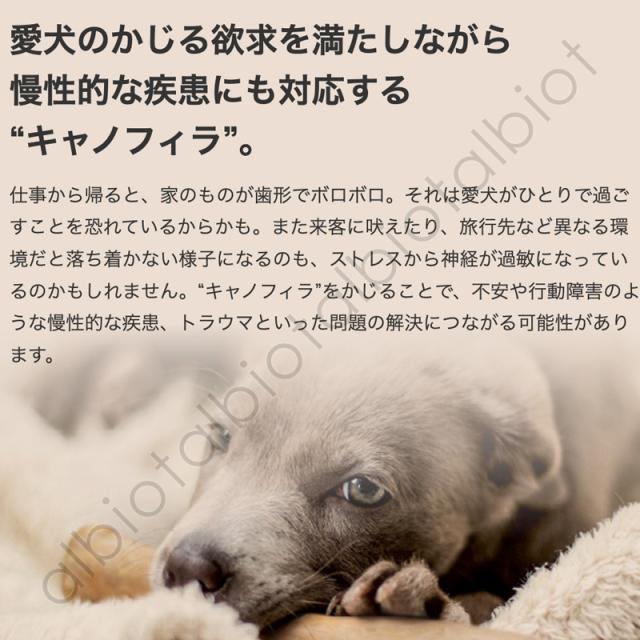 愛犬のかじる欲求をみたしながら慢性的な疾患にも対応する「キャノフィラ」