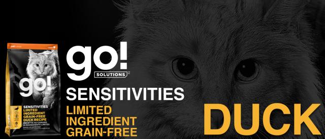 GO! SOLUTIONS　ゴー　LID ダックキャット