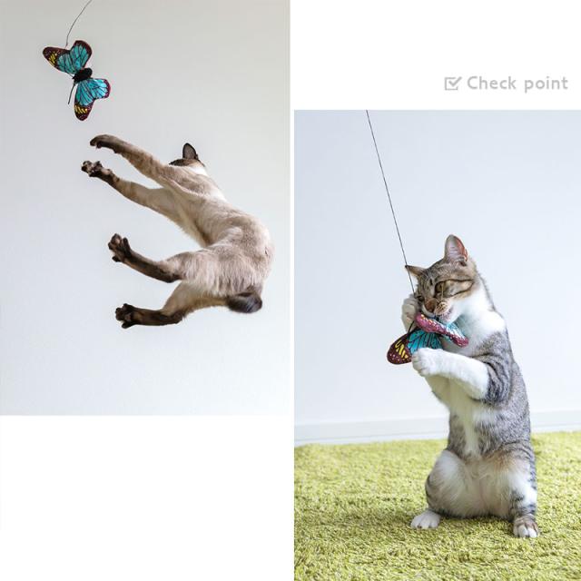 ひとり遊びの相手に キャットニップの香りでハッスル！！猫パンチでちょうちょを動かして遊ぼう！！運動不足の解消になるかも。