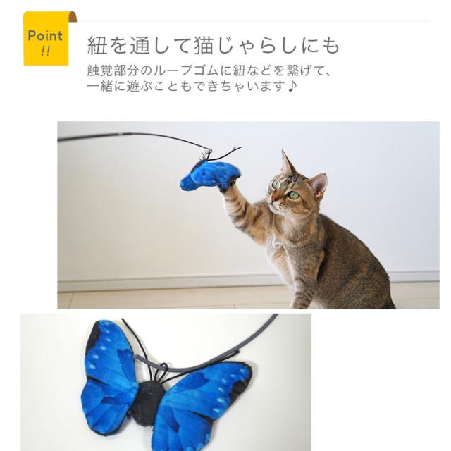 ループに紐を通せば猫じゃらしにも 触覚部分のループゴムに紐や猫じゃらしの棒を繋げて、オーナーさんと一緒に遊ぶこともできちゃいます。<br>ちょうちょを追いかける猫ちゃんが可愛い！