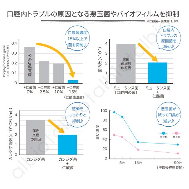 口腔内トラブルの原因となる悪玉菌やバイオフィルムを抑制
