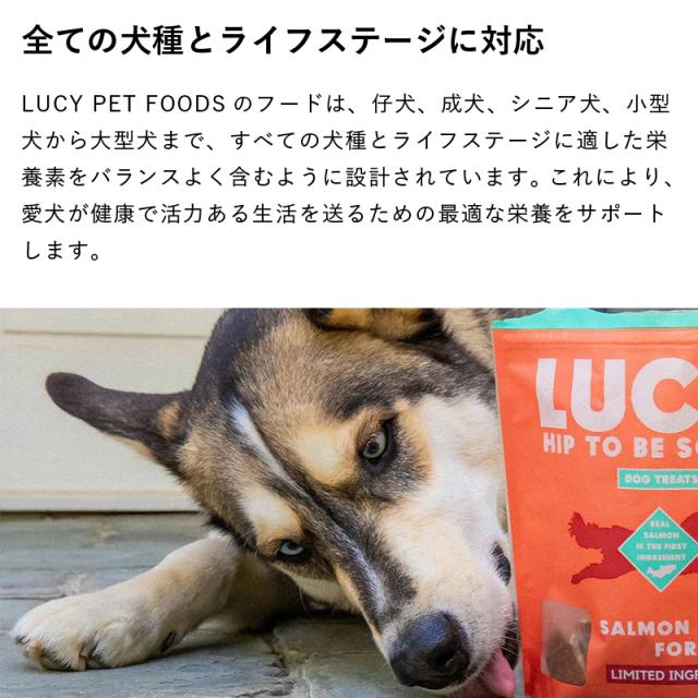 全ての犬種とライフステージに対応　LUCY PET FOODSのフードは、仔犬、成犬、シニア犬、小型犬から大型犬まで、すべての犬種とライフステージに適した栄養素をバランスよく含むように設計されています。これにより、愛犬が健康で活力ある生活を送るための最適な栄養をサポートします。