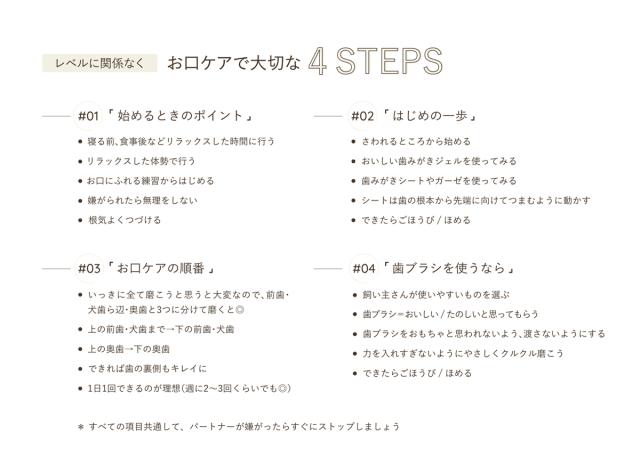 レベルに関係なくお口ケアで大切な4STEPS