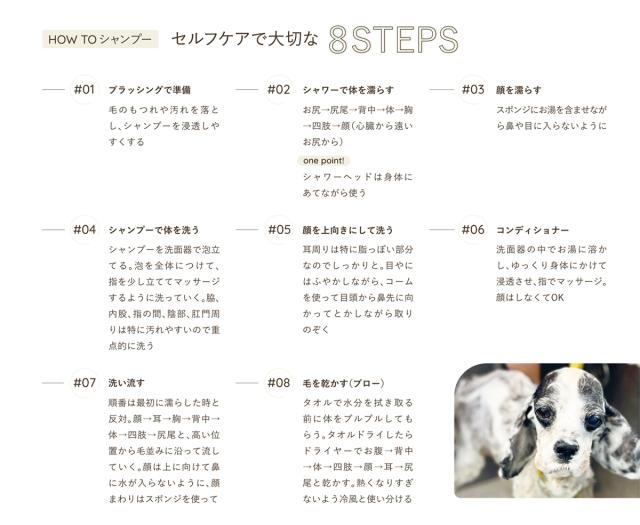 HOW TO シャンプー　セルフケアで大切な8STEPS