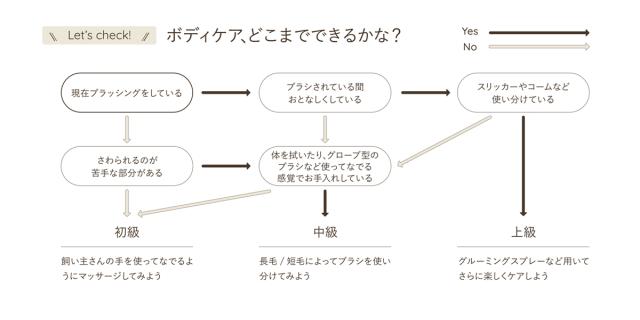 Let's check! ボディケア、どこまでできるかな？