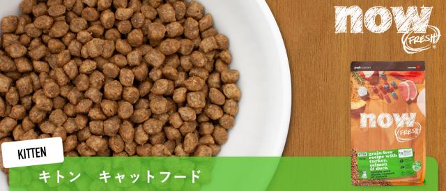 ナウフレッシュ グレインフリー　キトン　キャットフード