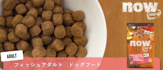NOW FRESH ナウフレッシュ グレインフリー フィッシュアダルト