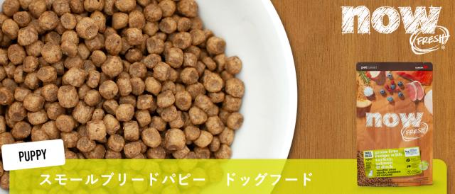 ナウフレッシュ グレインフリー スモールブリードパピー ドッグフード