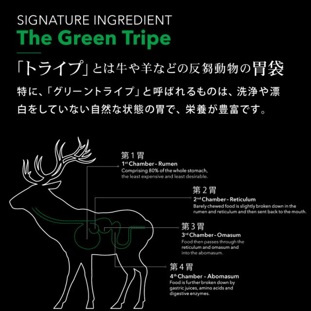 「トライプ」とは牛や羊などの反芻動物の胃袋で栄養が豊富