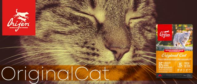 オリジン オリジナルキャット