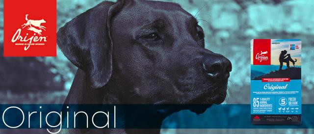 オリジン　オリジナル　ドッグフード