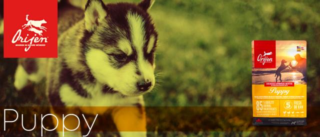 オリジン パピー ドッグフード
