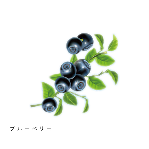 ブルーベリー