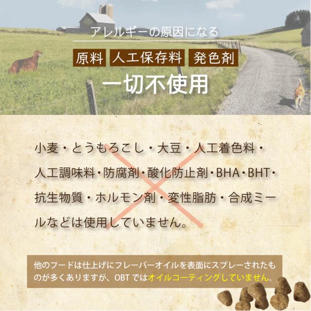 アレルギーの原因になる原料・人工保存料・発色剤は使用していません。