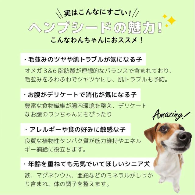 実はこんなにすごい！ヘンプシードの魅力