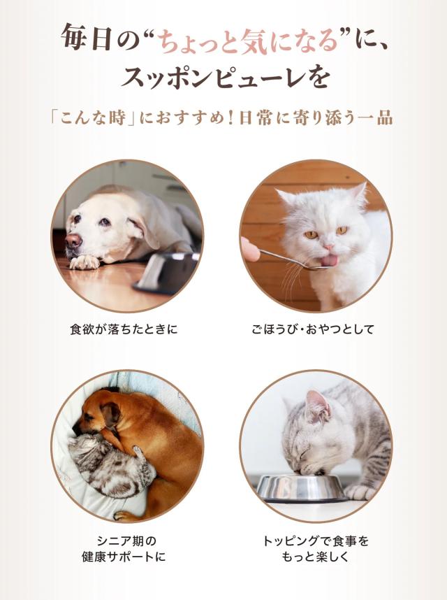 毎日の“ちょっと気になる”に、 スッポンピューレを　「こんな時」におすすめ！日常に寄り添う一品「食欲が落ちたときに」「ごほうび・おやつとして」「シニア期の健康サポートに」「トッピングで食事をもっと楽しく」