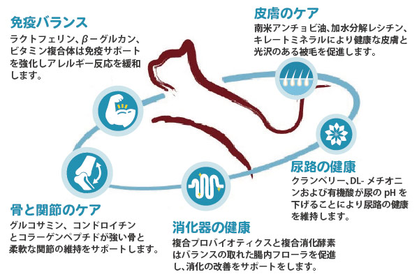 免疫バランス・皮膚のケア・尿路の健康・消化器の健康・骨と関節のケア
