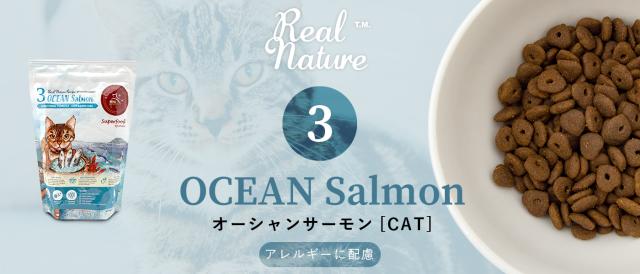 REAL NATURE リアルネイチャーレシピ NO.2 オーシャンサーモン キャットフード