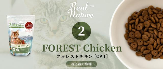 REAL NATURE リアルネイチャーレシピ NO.2 フォレストチキン キャットフード