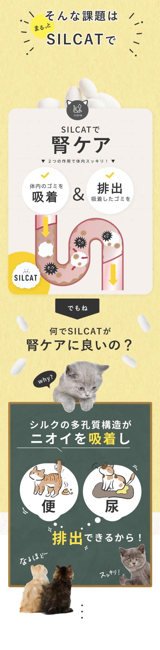 老廃物の排出がうまくいかないことが大きな要因としてあります。そんな課題をSILCATで