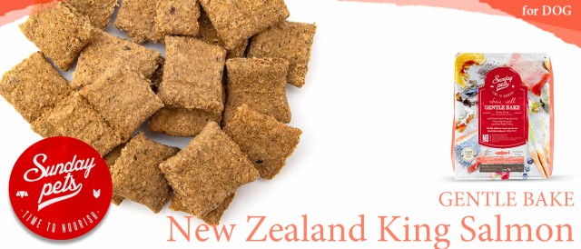 Sunday Pets サンデーペッツ ジェントルベイク キングサーモンwithトライプ