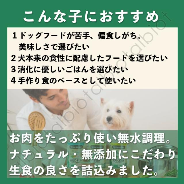 こんな子におすすめです