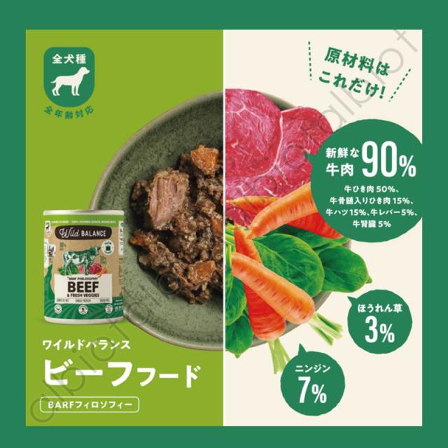 ビーフフード