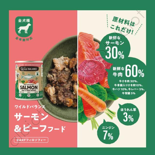 サーモン＆ビーフフード