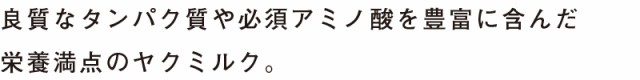 良質なタンパク質や必須アミノ酸を豊富に含んだ栄養満点のヤクミルク。