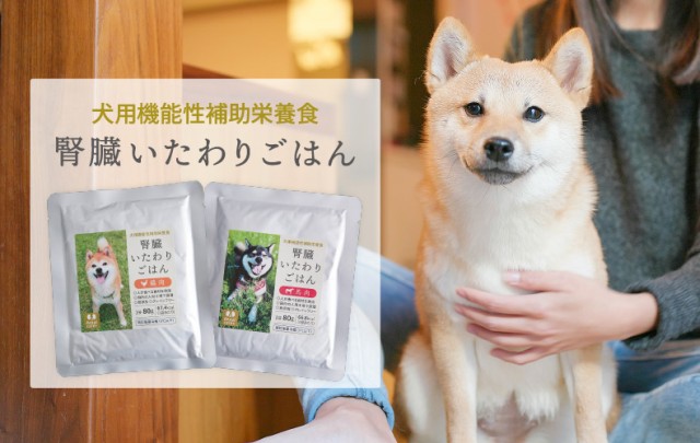 腎臓いたわりごはん 鶏肉・馬肉 犬用 80g×各3袋セット*お1人様2セット