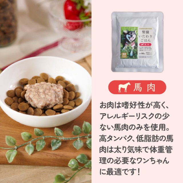 本命ギフト 腎臓いたわりごはん 鶏肉 犬用 80g×12袋 送料無料 同梱不可