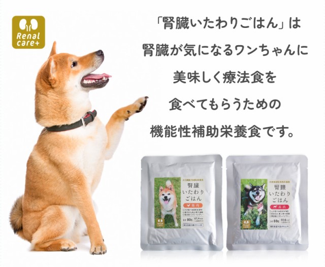 腎臓いたわりごはん 鶏肉・馬肉 犬用 80g×各3袋セット*お1人様2セット