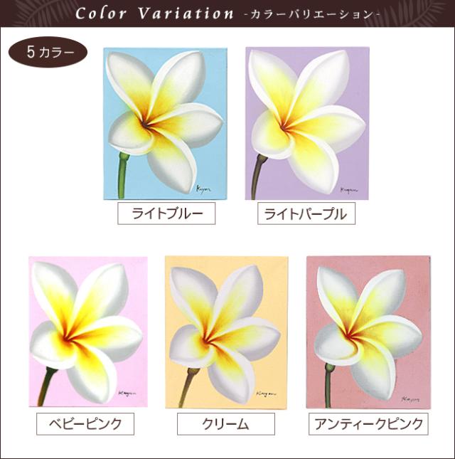 絵画プルメリア(5カラー)　ライトブルー　ライトパープル　ベビーピンク　クリーム　アンティークピンク