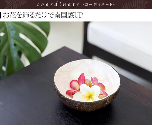 ココナッツのボウル 南国 ハワイアン