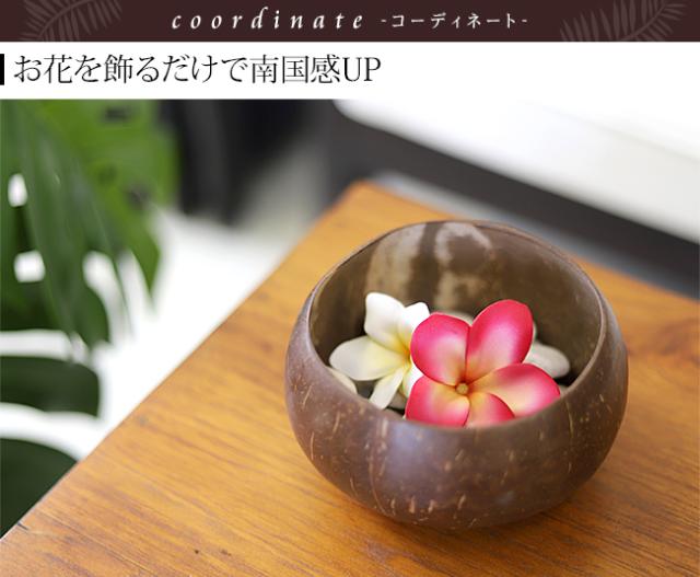 ココナッツのボウル 南国 ハワイアン