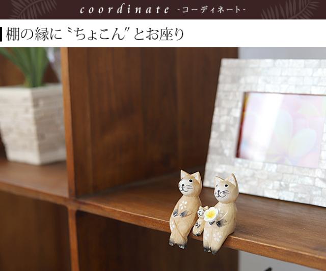 バリネコ(家族)