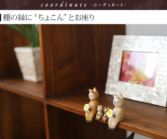 バリネコ（家族）