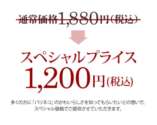 スペシャルプライス