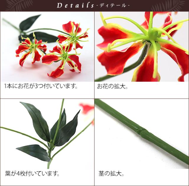 グロリオサ ディテール