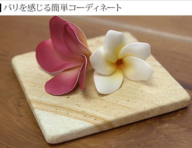 バリ島 プルメリア コーディネート